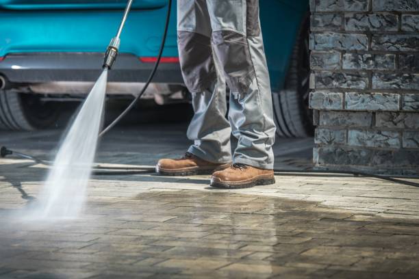 Best Pre-Holiday Cleaning  in Horatio, AR