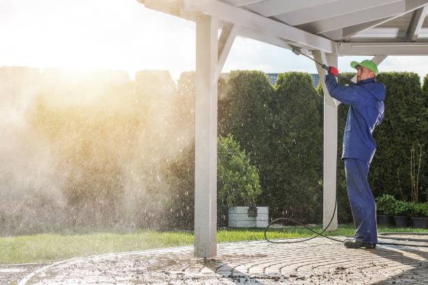 Professional  Pressure Washing Services in Horatio, AR